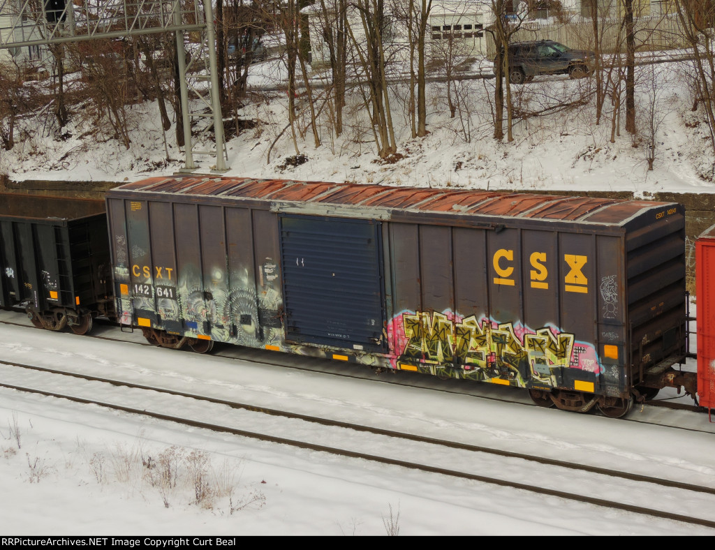 CSX 142641